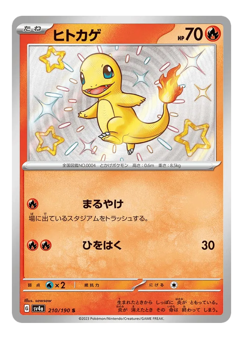 Bundle Charmander & Charmeleon
