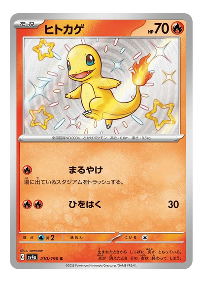 Bundle Charmander & Charmeleon